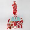 80cm Human Muscle & Organ Anatomical Model 27 Detachable Parts Medical Teaching Aids with 150+ Labeled Structures PVC Human Body Dummy for Biology Study view 4