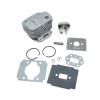 ZGWXFBMPJ Cylinder Piston Kit Fit for CC2000 CC3000 2075R 2075RC 2079r 2090R TB2000 TB3000 OEM 316795110 view 2