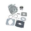 ZGWXFBMPJ Cylinder Piston Kit Fit for CC2000 CC3000 2075R 2075RC 2079r 2090R TB2000 TB3000 OEM 316795110 view 3