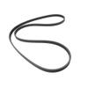 1 PCS Engines Components Generator Alternator Belts Fit For S3 T5 OEM 1025024GG010 view 2