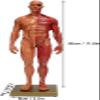 30cm Resin Male Anatomical Model 1:6 Half Skin Half Muscle Musculoskeletal Structure Sculpture for Medical Art Teaching view 4