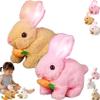 Lkdgii Rabbits Toy Moves Ears and Mouth My Realistic Bunny Toy with Sounds and Movements for Birthday Easter Gifts (2PCS D) view 1