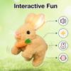 Lkdgii Rabbits Toy Moves Ears and Mouth My Realistic Bunny Toy with Sounds and Movements for Birthday Easter Gifts (2PCS D) view 2