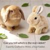 Lkdgii Rabbits Toy Moves Ears and Mouth My Realistic Bunny Toy with Sounds and Movements for Birthday Easter Gifts (2PCS C) view 3