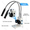 6000K Spotlight Microscope Light Source,Fiber Optic Microscope Illuminator,Adjustable Brightness/Aperture Size,Flexible Direction,for Stereo Zoom Microscopio Dual view 3