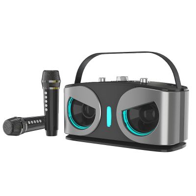 ToysCentral Basics Wireless Karaoke Speaker with Dual Mics, RGB Light Effects, for Home Ktv Outdoor Party, Gray, 10.2 X 4.3 X 5.4 in