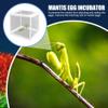 KUYYFDS 2Pcs Praying Mantis Habitat Praying Mantis Egg Case Incubator for Tarantulas Spiders Snails Crickets and Ants Small Animals view 2