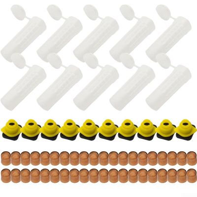 Minhe Bee Queen Rearing Kit Complete Set With Plastic Box And Cage For Introducing Queen Cells And Supporting Larvae Development In And Apiary Applications