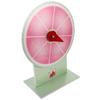 Beaupretty Portable Prize Wheel for Classroom and Festival Games 30cm Mini Tabletop Spinning Wheel with Watermelon Design for Carnival and Halloween Activities view 1