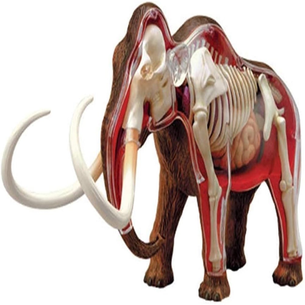 4D Mammoth Animal Anatomy Assembly Model - Removable Organs & Body Parts Teaching Model Kit for School Educational Materials