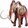 4D Mammoth Animal Anatomy Assembly Model - Removable Organs & Body Parts Teaching Model Kit for School Educational Materials view 1