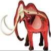 4D Mammoth Animal Anatomy Assembly Model - Removable Organs & Body Parts Teaching Model Kit for School Educational Materials view 2