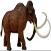 4D Mammoth Animal Anatomy Assembly Model - Removable Organs & Body Parts Teaching Model Kit for School Educational Materials view 3