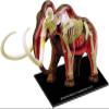 4D Mammoth Animal Anatomy Assembly Model - Removable Organs & Body Parts Teaching Model Kit for School Educational Materials view 4