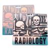 2 PCS X-Ray/Radiology Badge Buddy Anatomy Skeleton Horizontal Holographic Badge Buddy Gift for Xray Radiology Technique Work Accessories Rad Tech Student Essentials (Radiology) view 1