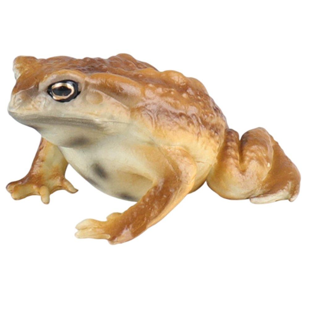 HDBHSBE Toad Figurine Realistic Simulated Frog and Toad Animal Figurines for Kids Educational Animal Model for Birthday, Party Favors and Science Projects