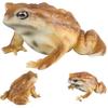 HDBHSBE Toad Figurine Realistic Simulated Frog and Toad Animal Figurines for Kids Educational Animal Model for Birthday, Party Favors and Science Projects view 3