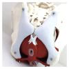 3D Female Pelvic Anatomy Model with Removable Organs - Pelvic Floor Muscles & Reproductive Organs for Classrooms & Doctor's Offices view 2