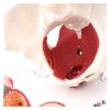 3D Female Pelvic Anatomy Model with Removable Organs - Pelvic Floor Muscles & Reproductive Organs for Classrooms & Doctor's Offices view 3