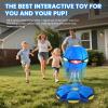 Agaommio Magic Bouncing Ball 6-Light Dual Form Pop up, Meta Ball Metaball Transforming Design Flying Saucer Bouncy Interactive Bouncing Balls for Children Dogs Pets Toys (Blue Ball) view 2