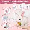 Easter Bunny Toy,Hopping Bunny Toy,Hopping Rabbit Plush Bunny Toy, Walks, Jumps, Sounds an Ideal Surprise Gift for Toddlers,Easter Toys for Toddlers(Brown) view 3