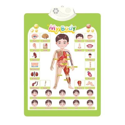 Interactive Alphabet Wall Chart | Talking ABCs & 123s Music Poster | Animals Learning Toys for Toddlers 1-3 | Best Gift for Toddler Girl Ages 1 2 3 4 5 | Learning Posters for Toddlers 2-4 Years (I)