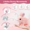 EISNZLAN My Realistic Bunny Toy,Hopping Bunny Toy,Vitality Bliss Bunny, Paired with a Leash and a Carrot,Easter Toys for Toddlers.(Brown Rabbit) view 3
