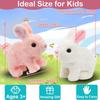 EISNZLAN My Realistic Bunny Toy,Hopping Bunny Toy,Vitality Bliss Bunny, Paired with a Leash and a Carrot,Easter Toys for Toddlers.(Brown Rabbit) view 4
