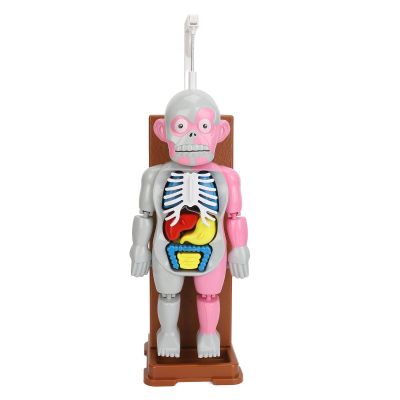 BTSEURY Human Body Anatomy Toy, Educational Interactive Model with Spooky Sound and Shaking Effects, for Kids Aged 6 Years and Up