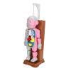 BTSEURY Human Body Anatomy Toy, Educational Interactive Model with Spooky Sound and Shaking Effects, for Kids Aged 6 Years and Up view 3