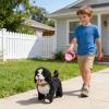 Mjaie Versatile Educational Electric Plush Toy Dog for Home Park Activities Talks and Tongue Out Fun Golden Retrievers Toy view 3