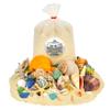 Beachcomber Treasure Hunt 2-Pack - Beach Paydirt with Shells, Sea Glass, Pearl, Fossils & Crystals view 1