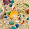 Beachcomber Treasure Hunt 2-Pack - Beach Paydirt with Shells, Sea Glass, Pearl, Fossils & Crystals view 3