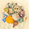 Beachcomber Treasure Hunt 2-Pack - Beach Paydirt with Shells, Sea Glass, Pearl, Fossils & Crystals view 4