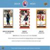 Upper Deck AHL Hockey Hobby Box 2023-24 view 2