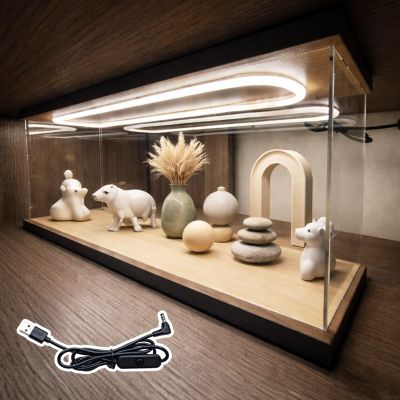 Acrylic Display Case with LED Lighting for Collectibles and Action Figures, Diorama Showcase with Wooden Base