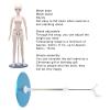 Spryflower 1/3 Adjustable Doll Stand, Adjustable Height Ball Jointed Doll Stand for 1/4 Scale Dolls, Metal Display Stand with Sturdy Base for Kids and Collectors view 3
