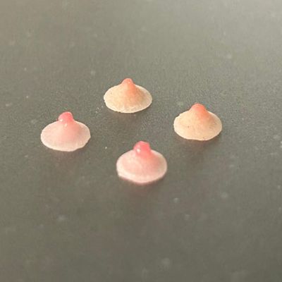 1/12 Scale Female Silicone Chest Patch Body Nipple Prop 2 Pairs Set for 6-inches Action Figure Body Doll, 1/12 Scale Female Action Figure Private Parts Model Accessory (2 set pasties + 1 private area)
