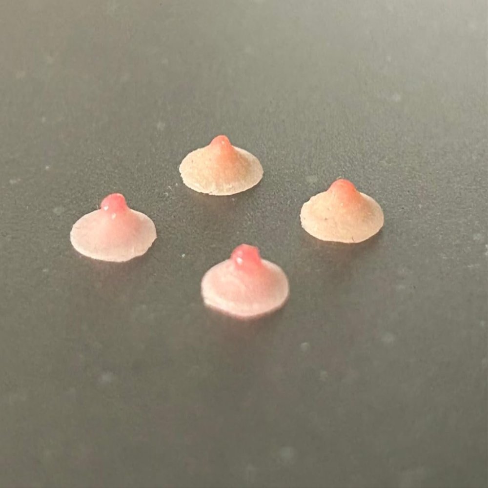 1/12 Scale Female Silicone Chest Patch Body Nipple Prop 2 Pairs Set for 6-inches Action Figure Body Doll, 1/12 Scale Female Action Figure Private Parts Model Accessory (2 set pasties + 1 private area)