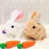 Bunby Realistic Rabbit Toy, 2026 New Easter Realistic Rabbit Toys,Interactive Plush Bunny,Realistic Bunny Can Walk and Talk,Lifelike Movements, Hops,Twitches & Wiggles Ears, Easter Gift (White) view 2