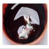 NUHSLF Tea Kettle, Fish Play Tea Set Chinese Style Ceramic Kung Fu Tea Set Teapot Portable Tea Cups of Tea Ceremony Teaware Sets S Teapot(Giallo-OneSize) view 2