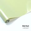 AEORCACC RC Aircraft Heat Shrink Covering Film, Balsawood Airplane Model Adhesive Film, Multiple Colors Available, 5 Meters per Roll (Cream Green) view 3