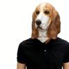 Full Head Dog Mask,Realistic Basset Hound Head Mask,Horror Animal Masks for Halloween Role-Play Party Birthday,Scary Animal Masks view 2