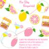 2pcs Pink Lemonade Party Banners Lemon Citrus Garland, Summer Fruit Lemonade Stand Bunting for Lemonade Themed Birthday Baby Shower Pool Party Summer BBQ Home Decor view 4