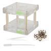 Acrylic Nest House Transparent Castle Villa Farm Educational Toy for Kids Observation of Feeding Acrylic Material 10x10x9cm view 2