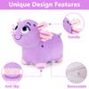 Bouncy Pals Axolotl Hopping Horse, Toddler Inflatable Animal Hopper Toys view 3