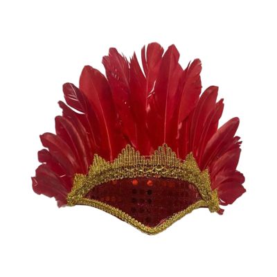Amagogo Indian Headdress Feather Headband Headwear American Chief Headpiece Unique Feather Material Suitable for Kids Boys Girls Theme Parties Performance Fes, Red