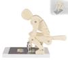 Lifting Model, Human Weightlifting & Spine Force Demonstration Model with Base, Interactive Lumbar Spine Trainer for Body Posture Education view 1