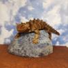 Articulated Thorny Devil view 1