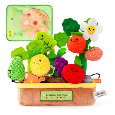 Baby Toys 6-12 Months - My First Fruits Color Shape Sorting Montessori Toys - 6 Month Old Toys Montessori Sensory Toy Carrot Flower with Rattles Mirror Squeaker Textures Crinkle Tissues